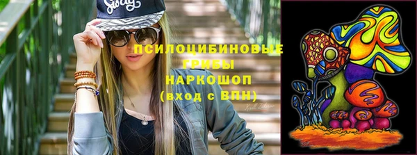 бутират Белокуриха